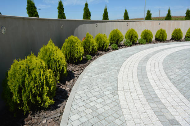 Best Driveway Pavers Installation  in Conehatta, MS